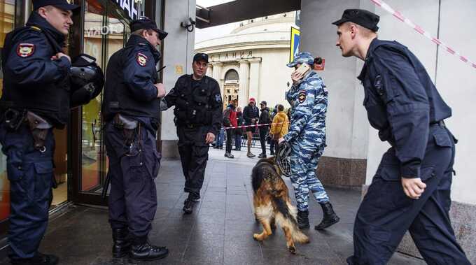 В Хабаровске сообщили о минировании всех школ