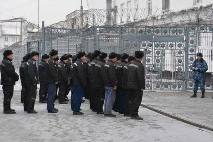 В Омской области заключённых из ИК-6 вывозят в ИК-7 для пыток