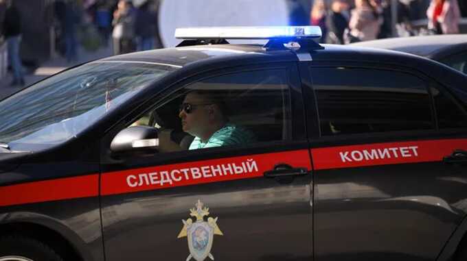 Поклонницу серийного убийцы подозревают в убийстве ребёнка в Бердянске